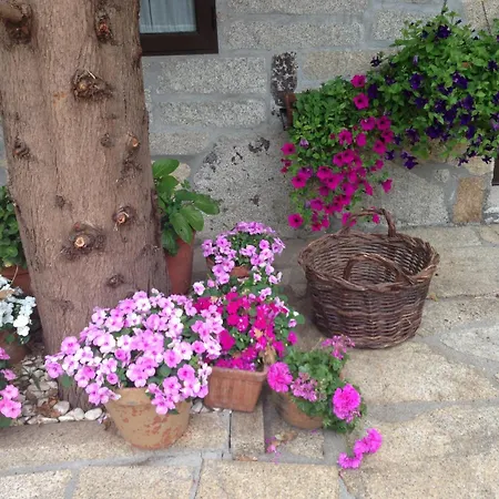 カントリーハウス Casa O Fabal