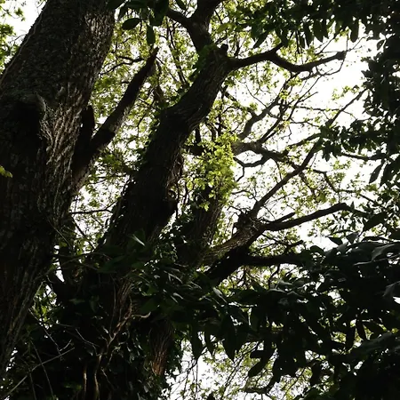 Casa O Fabal Landsted Sanxenxo