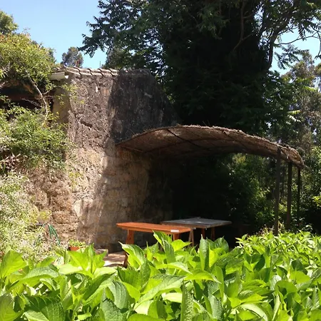 Casa O Fabal منزل ريفي سانكسينكسو