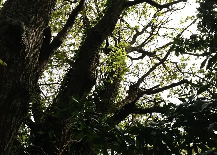 Casa O Fabal Country house Sanxenxo